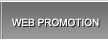 Web Site Promotion